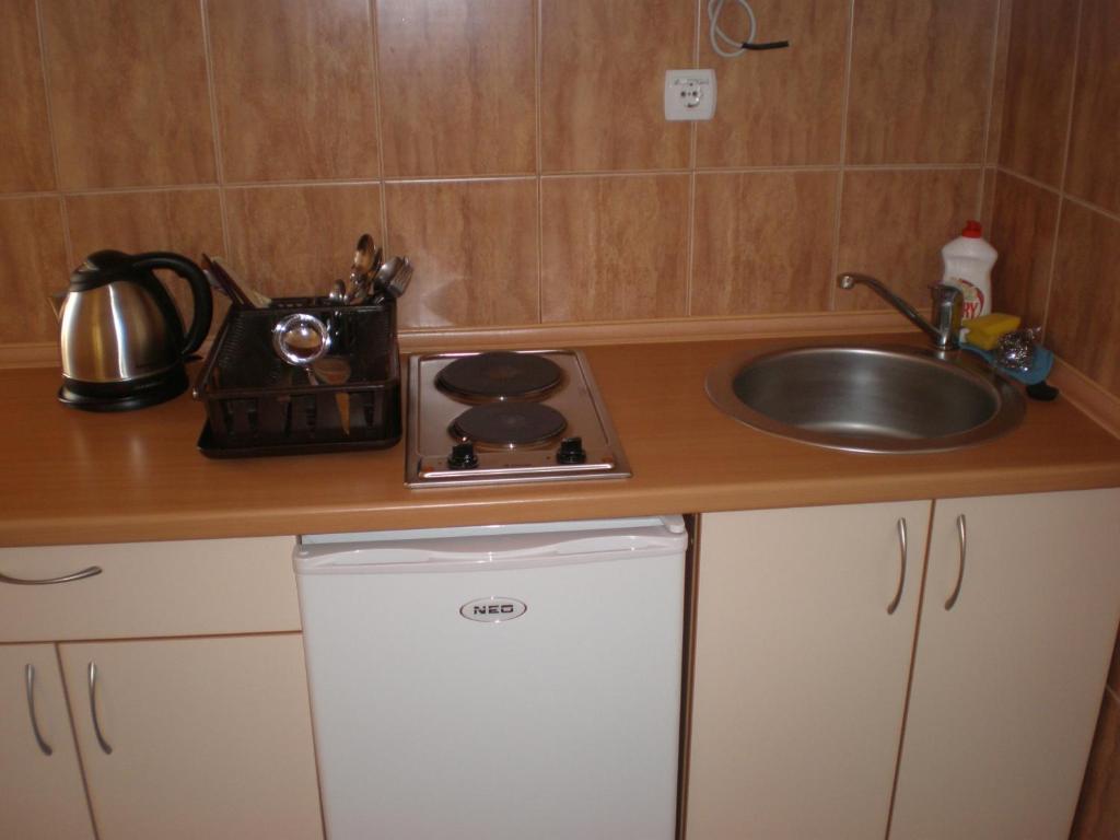 Apartments Vila Lazarevic ティヴァト 部屋 写真